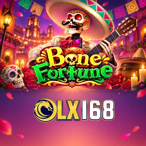 olx168